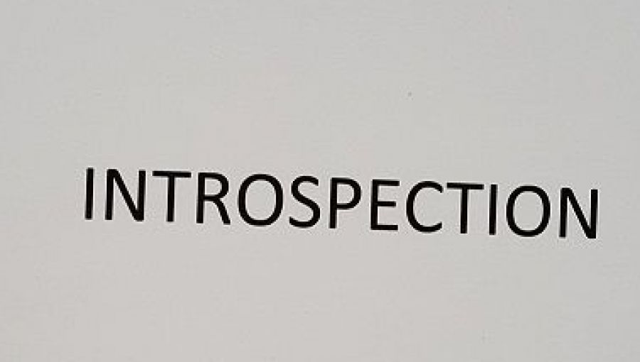 Introspection Introspection